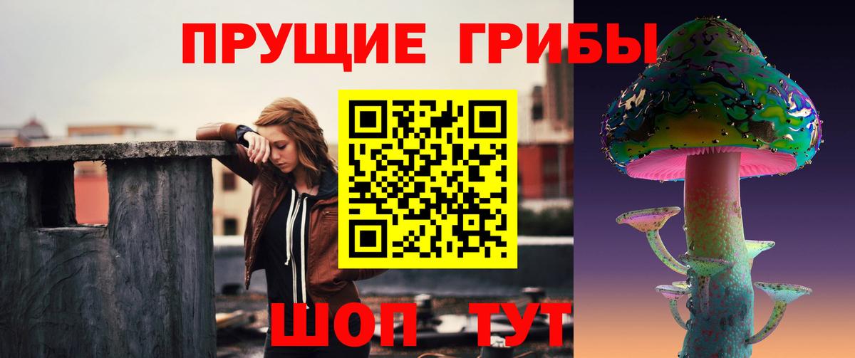 Псилоцибиновые грибы Psilocybine cubensis Ростов Великий