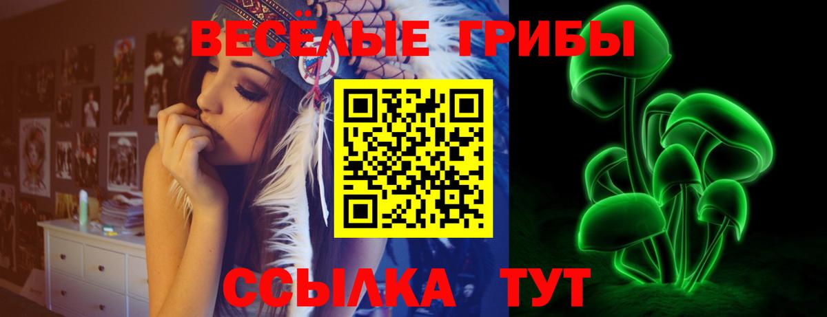 Галлюциногенные грибы Psilocybe  продажа наркотиков  Ростов Великий  Вход с VPN 